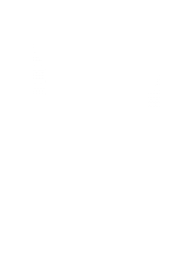 Panasonic Accelerator by Electric Works Company